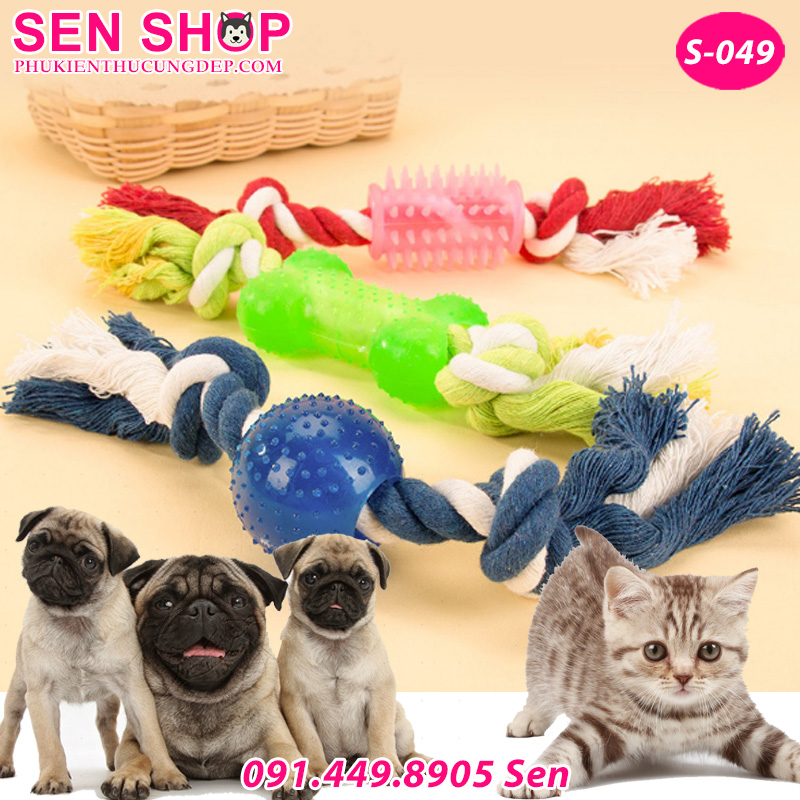 ĐỒ CHƠI CHO THÚ CƯNG PET TOY DÀNH CHO CHÓ MÈO